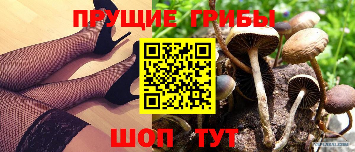 Сургут  Псилоцибиновые грибы прущие грибы  дарнет шоп  Вход с VPN 